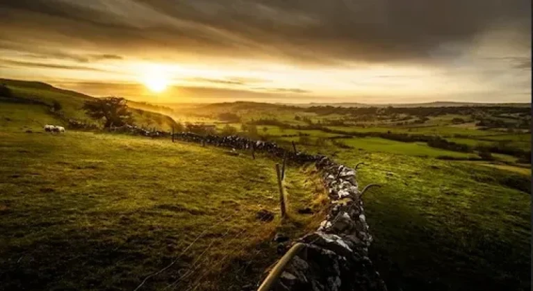 Usucapione, acquisto della proprietà, regolamento dei confini e diritti reali 